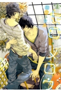 Cello Mellow – Tiếng vĩ cầm ngọt ngào